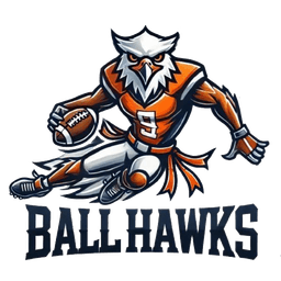 Ball Hawks