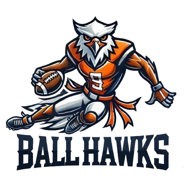 Ball Hawks